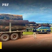 PRF em Roraima apreende Esmeraldas, munições e madeira irregular