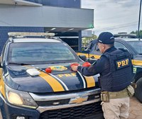 PRF apreende mais de 3 kg de cocaína em ônibus na BR-174