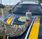 Essa é a terceira apreensão da semana, totalizando 435 kg