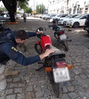 PRF apreende três motocicletas e recupera animais silvestres