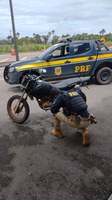 PRF recupera motocicleta furtada em Boa Vista