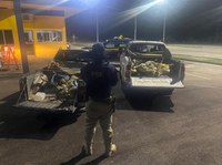 PRF apreende mais de 2 toneladas de minério análogo à cassiterita em Roraima