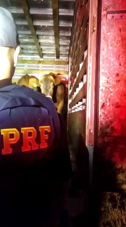 WhatsApp Image 2022-11-21 at 11.47.42.jpeg