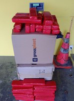 Duas mulheres são presas com quase 93 kg de maconha em Joinville, na BR-101