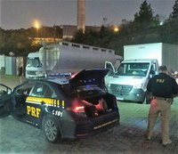 PRF localiza 4,5 mil kg de camarão argentino contrabandeado em furgão com placas clonadas na BR-470, em Gaspar