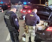 Ação conjunta PRF e Receita apreende 145 garrafas de vinhos argentinos na BR-101, em Joinville