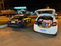 PRF localiza pássaros silvestres em porta-malas na BR-470 em Blumenau