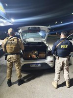 Policiais flagram carga de maconha durante fiscalização de equipamentos obrigatórios