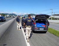 382 quilos de maconha são localizados em veículo clonado na BR-101, em Navegantes