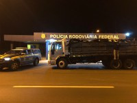 PRF apreende quatro toneladas de camarão argentino contrabandeado em caminhão na BR-282, em Xanxerê
