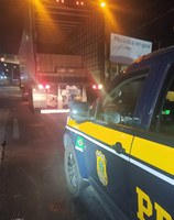 PRF localiza 321 mil maços de cigarros contrabandeados em carreta na BR-101, em Biguaçu