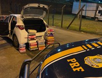 Pela 4ª vez em menos de dois meses, dupla é flagrada transportando pássaros silvestres na BR-470