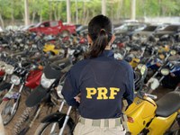 PRF promove leilão de 450 veículos apreendidos na região do Planalto Norte