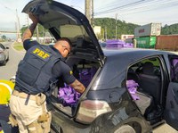 PRF localiza 384 kg de maconha na BR-101 em Itajaí