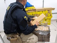 PRF apreende 185 kg de maconha na BR-101 em Porto Belo