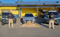 PRF localiza 143 kg de maconha na BR-101 em Joinville