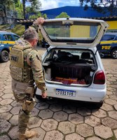 Em Chapecó, PRF intercepta 60 quilos de maconha que iriam para Lages