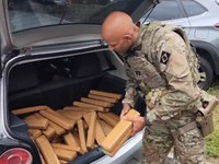 Procurado por homicídio é preso com 171 quilos de maconha e skunk em Joinville