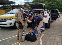 Ação conjunta PRF e PMRv intercepta quase meia tonelada de maconha e recupera veículo no Planalto Norte