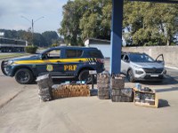 Casal é detido com mais de 230 quilos de maconha e anabolizantes em Santa Catarina