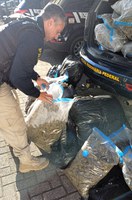 Mais de 80 quilos de skunk são apreendidos pela PRF na BR-101