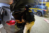 Menor de idade é apreendido com 300 quilos de maconha e carro roubado após perseguição em Joinville