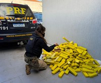 Motorista foge da PRF, cai em barranco e é preso com maconha e carro furtado