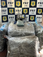 Perseguição na BR-101 termina com 40 quilos de skunk apreendidos em Palhoça