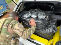 PRF intercepta 200 quilos de maconha e skunk na BR-282 em Chapecó