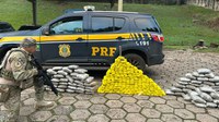 PRF apreende quase 200 quilos de drogas e recupera veículo roubado na BR-282 em Nova Itaberaba