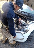 PRF encontra haxixe importado escondido em motor de carro na BR-101 em Joinville