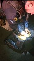 Fiscalização apreende de maconha e cocaína escondidas em bolsa na BR-101 sul