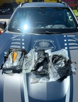 PRF intercepta carga de “supermaconha” escondida em portas de carro na BR-101 em Biguaçu