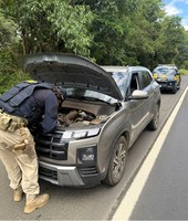 Placas diferentes na dianteira e traseira ajudam PRF a recuperar carro roubado circulando na BR- 280