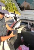 Quase 500 unidades de anabolizantes são localizadas escondidas na BR-101