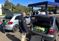 Comboio com 360 quilos de maconha é interceptado no Meio-Oeste catarinense