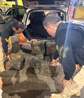 PRF prende foragido da Justiça com quase 120 quilos de maconha após perseguição na BR-101 em Joinville