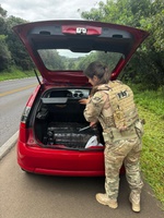 PRF apreende mais de 100 kg de maconha e prende motorista em Xanxerê