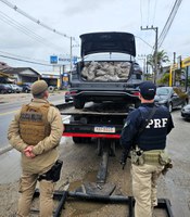 Ação conjunta PRF e PM apreende 46 quilos de skunk em Garopaba