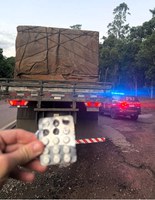 Caminhoneiro com placa dobrada é flagrado com anfetaminas na BR-116