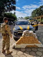 Prejuízo para o crime organizado: Em 36 horas, mais de 660 kg de maconha apreendidos pela PRF em Santa Catarina