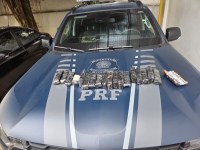 Apreensão PRF/SC