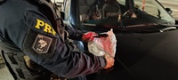 ​Casal é flagrado com droga na Dutra durante operação da PRF em Jacareí/SP
