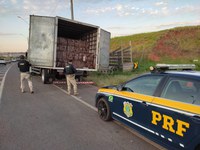PRF apreende 250 mil maços de cigarros na região de Marília-SP