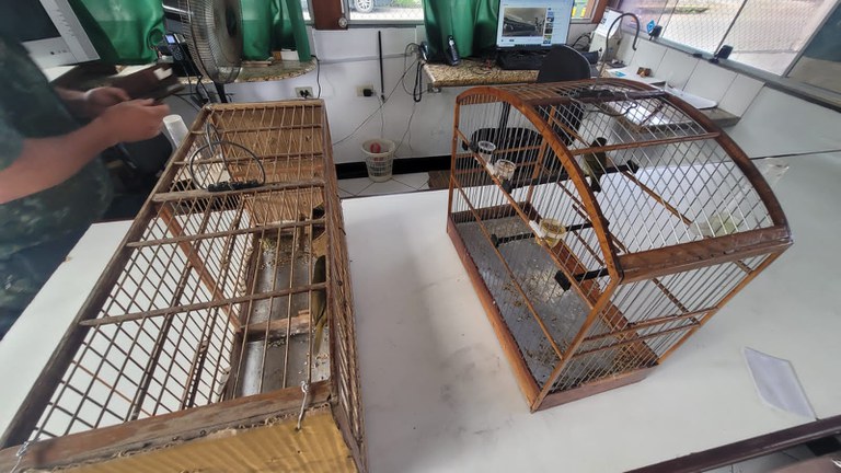 WhatsApp Image 2022-11-17 at 09.50.14.jpeg