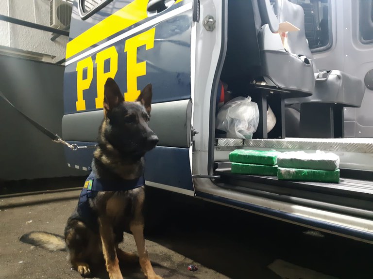 16.09 crack dutra.jfif