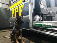 Apreensão de drogas e armas na Via Dutra