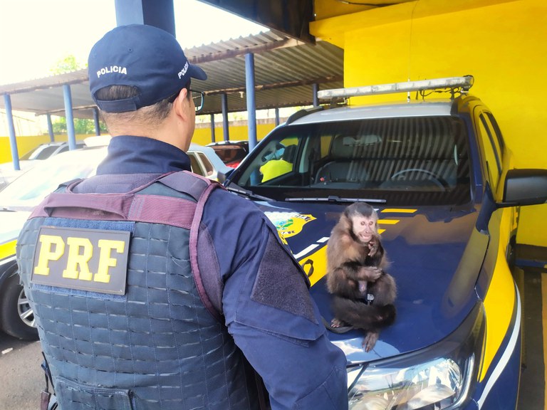 WhatsApp Image 2025-02-27 at 17.18.07.JPG