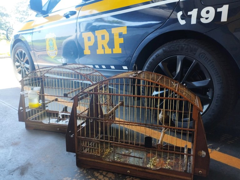 WhatsApp Image 2025-02-28 at 12.21.44 (1).JPG