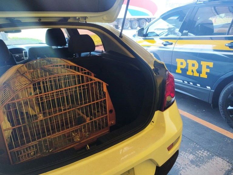 WhatsApp Image 2025-02-28 at 12.21.45.JPG